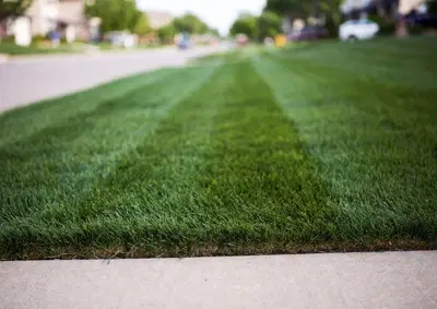 Established Outdoor Services Business with Diversified Recurring Revenue