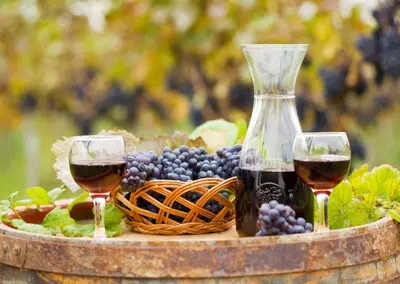 Complete Winery and Vineyard Asset Package with Event Center