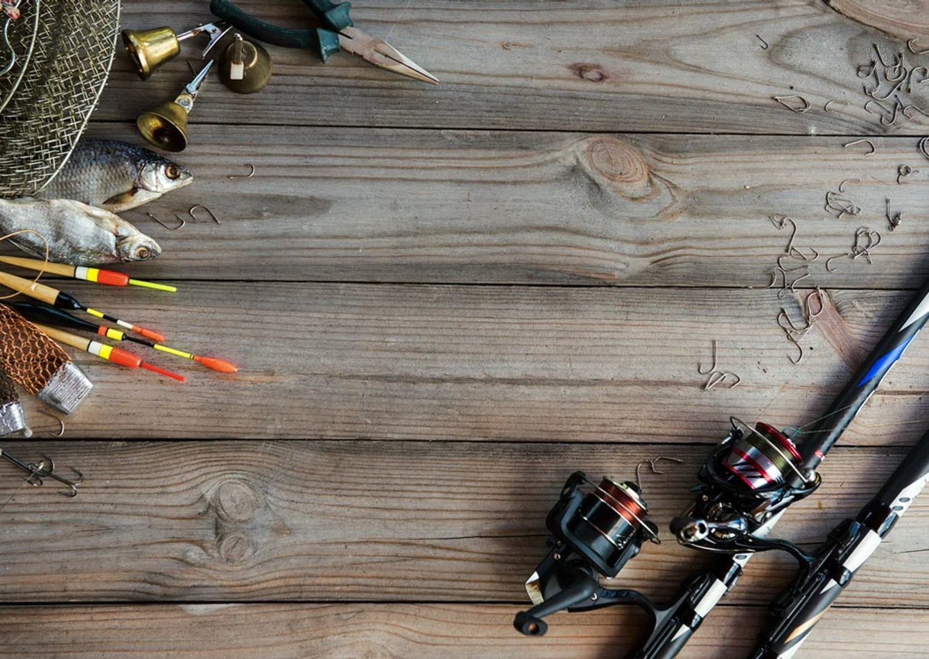 Complete Bait and Tackle Inventory with E Commerce Assets
