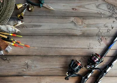 Complete Bait and Tackle Inventory with E Commerce Assets