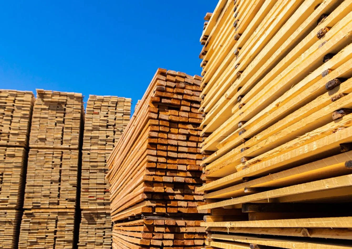Complete Building Materials  Lumberyard Assets with Real Estate