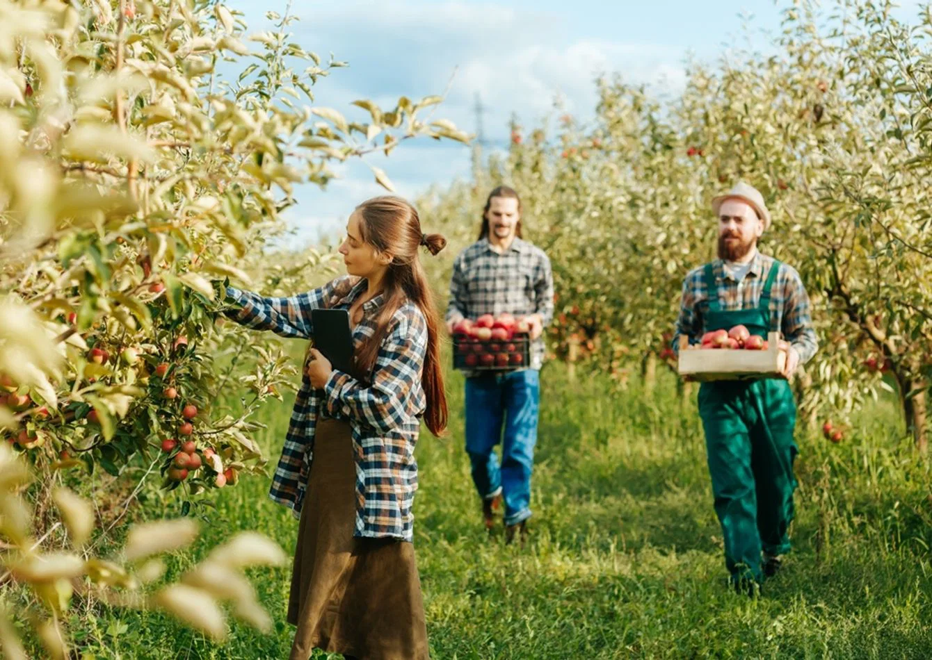 Complete Agritourism Destination Assets on 94 Acres