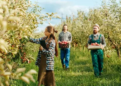 Complete Agritourism Destination Assets on 94 Acres