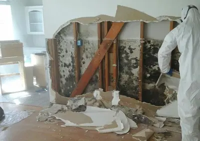 Premier Restoration Franchise with Strong Insurance Partnerships