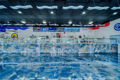 Premier Specialty Food Store with Strong Digital Presence