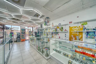 Complete Smoke Shop Inventory and Equipment Package
