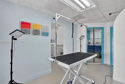 Turnkey Pet Care Business with Favorable Lease