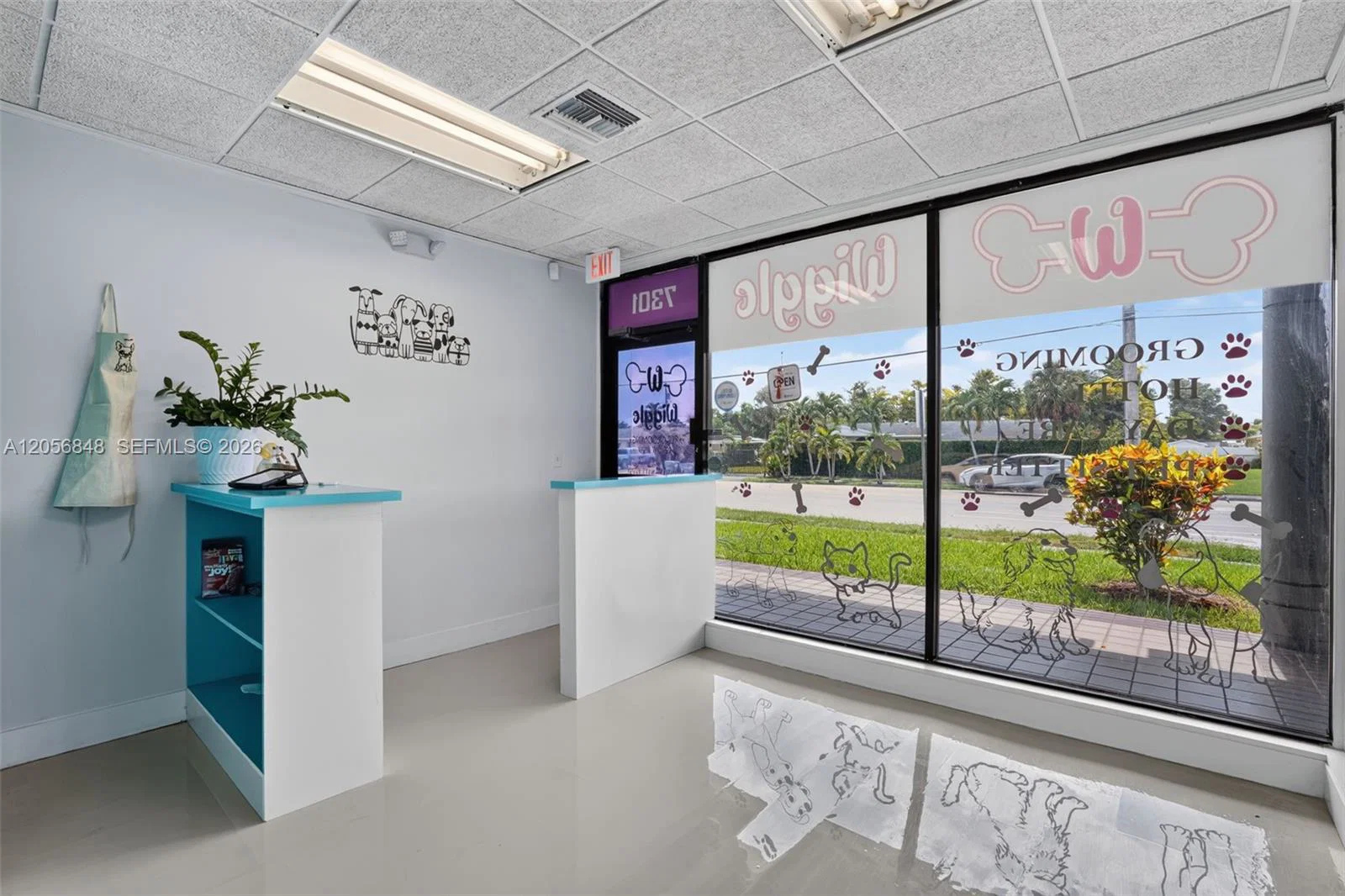 Turnkey Pet Care Business with Favorable Lease