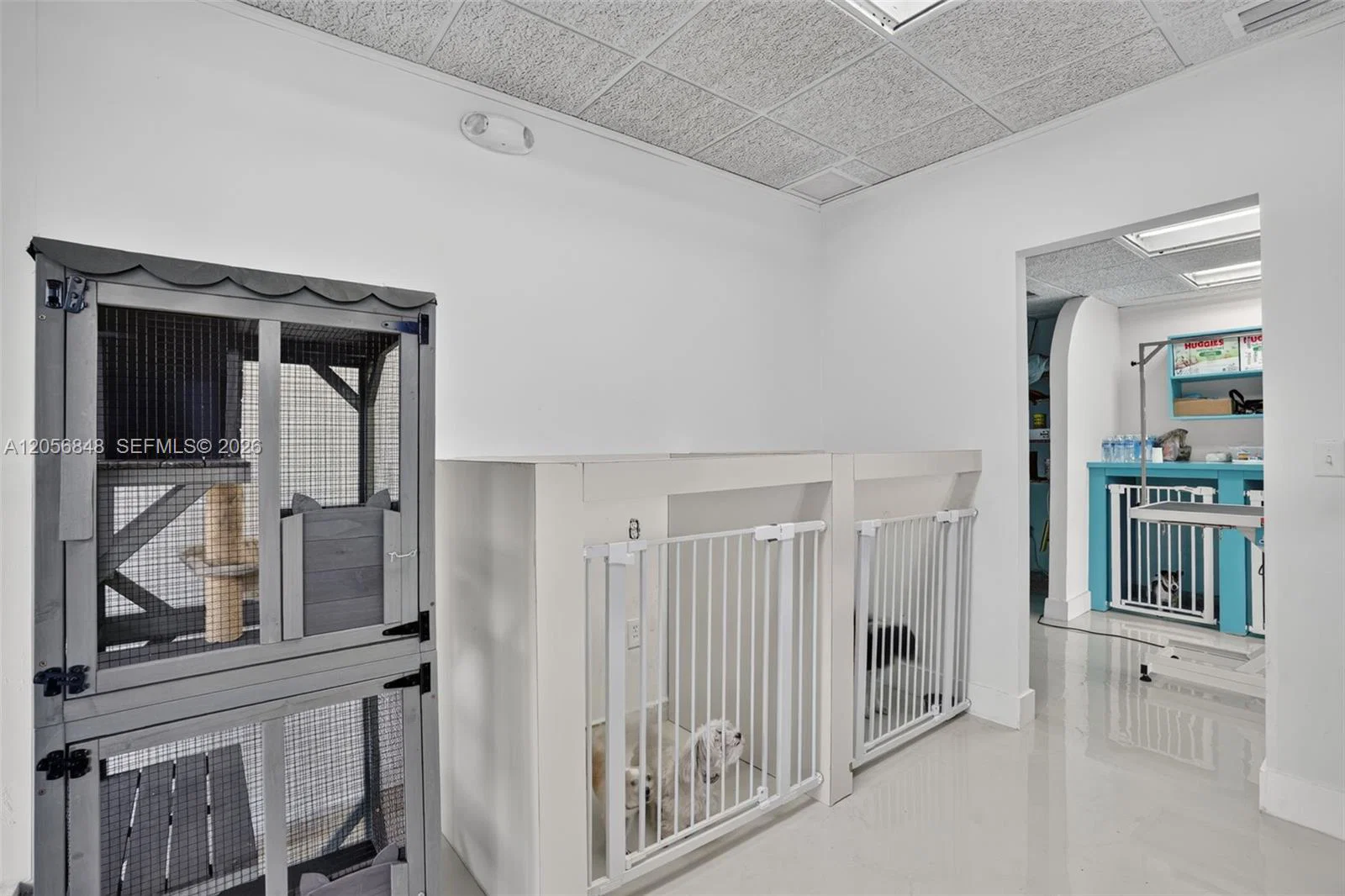 Turnkey Pet Care Business with Favorable Lease