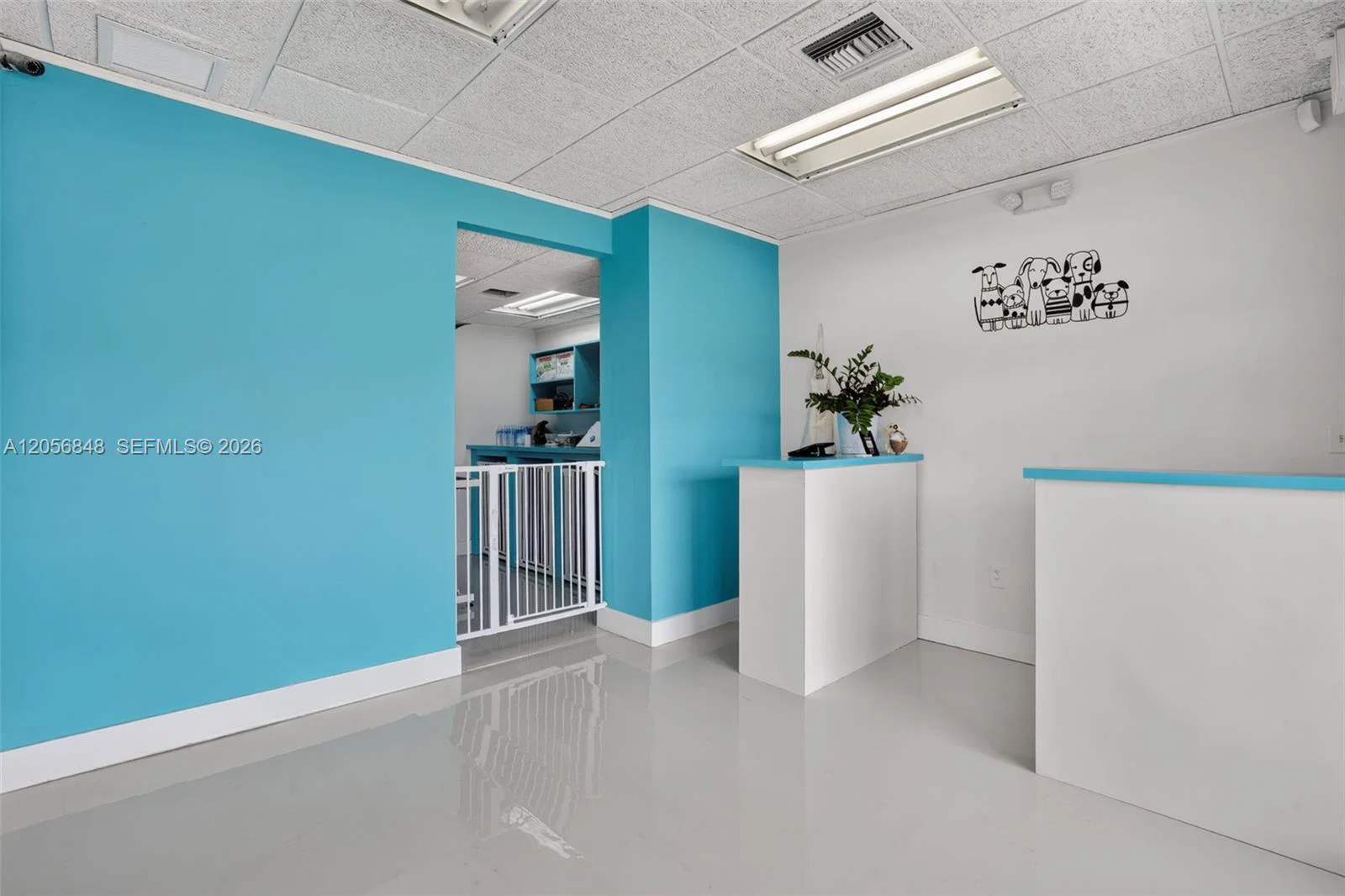 Turnkey Pet Care Business with Favorable Lease
