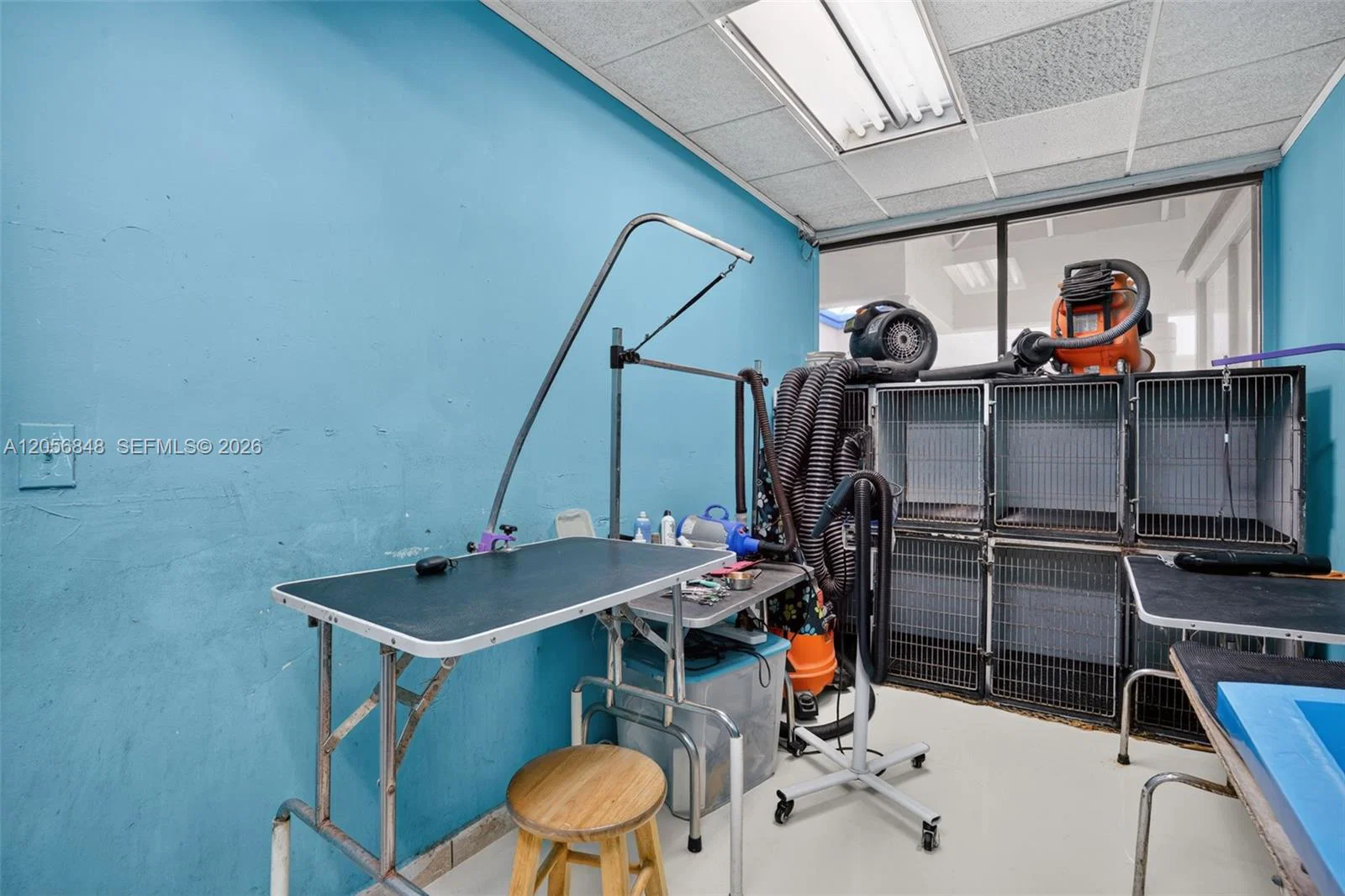 Turnkey Pet Care Business with Favorable Lease