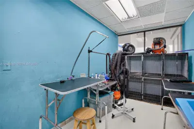 Turnkey Pet Care Business with Favorable Lease