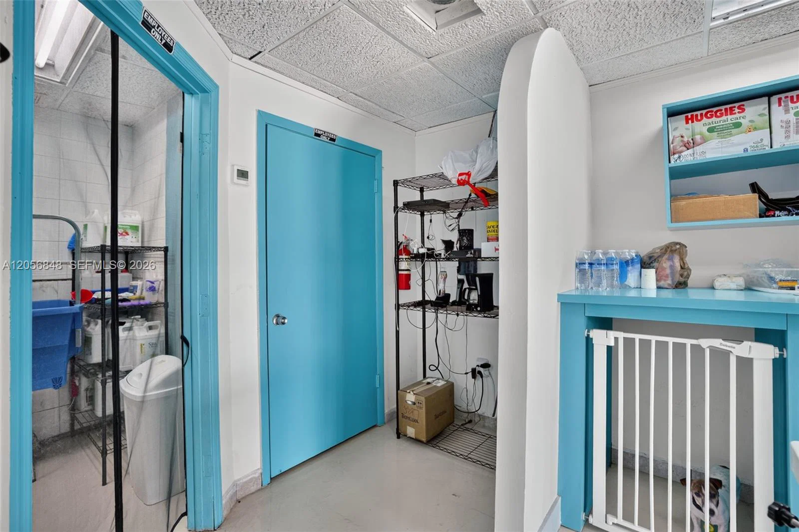 Turnkey Pet Care Business with Favorable Lease