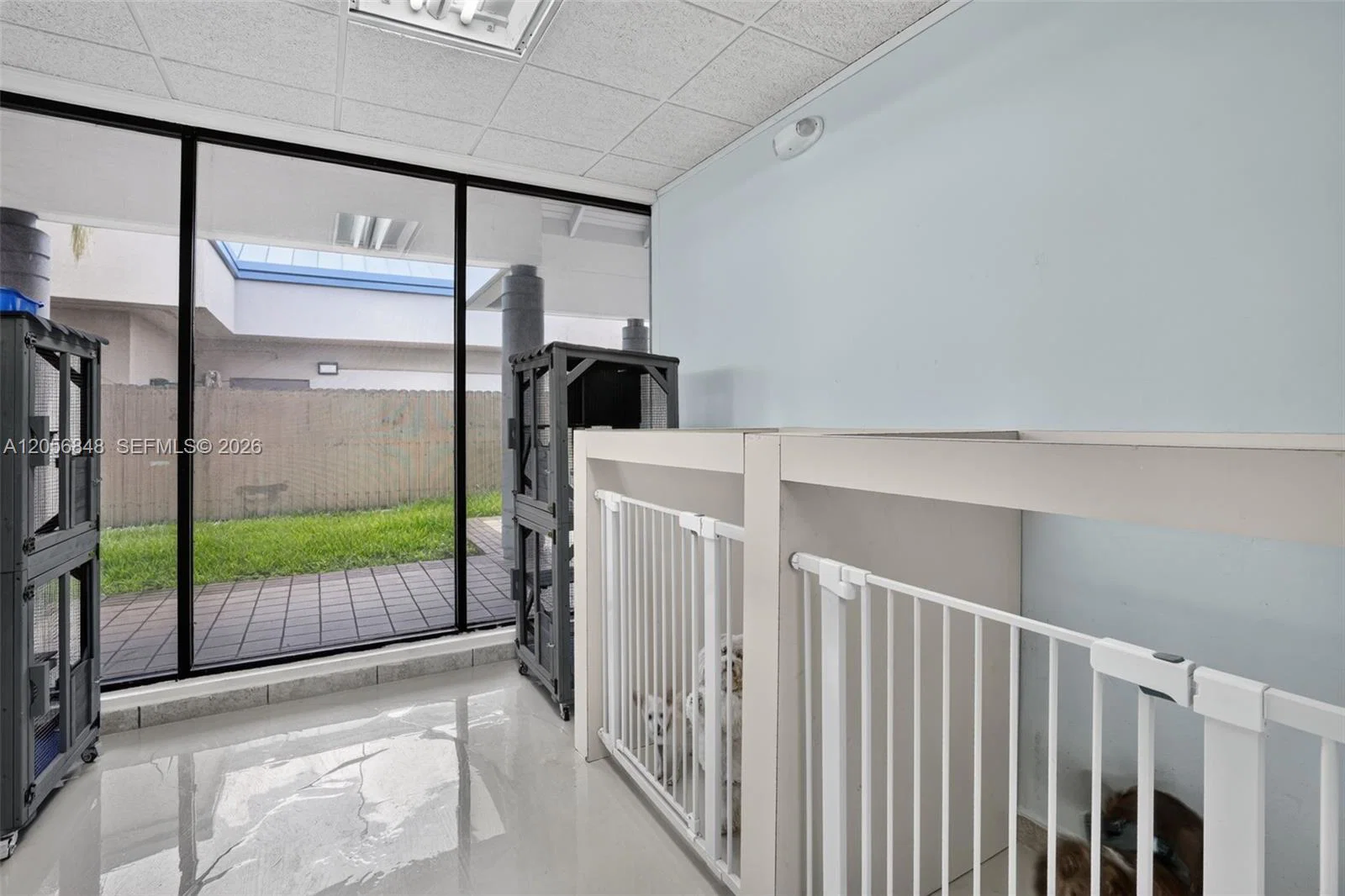 Turnkey Pet Care Business with Favorable Lease