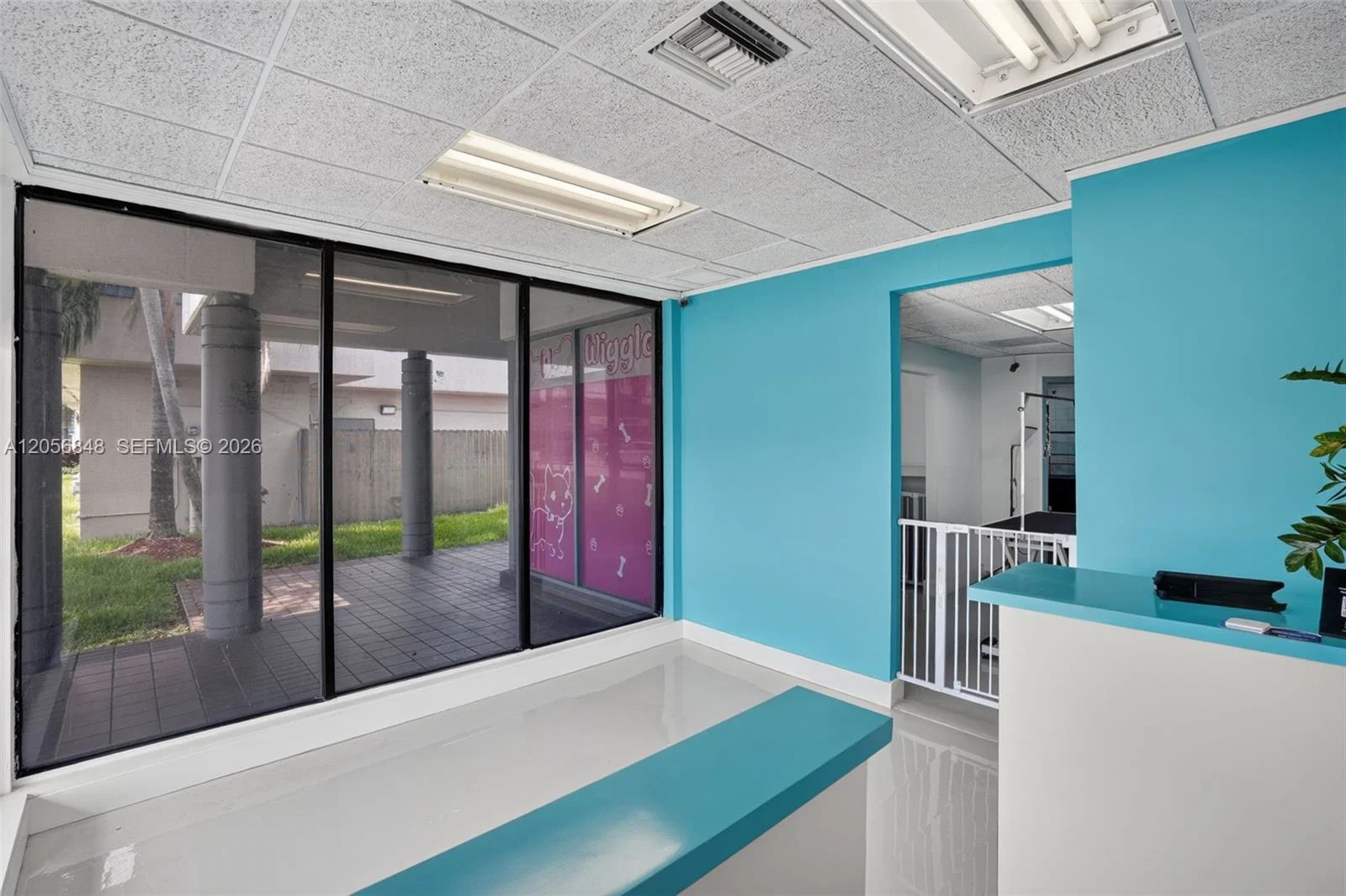 Turnkey Pet Care Business with Favorable Lease