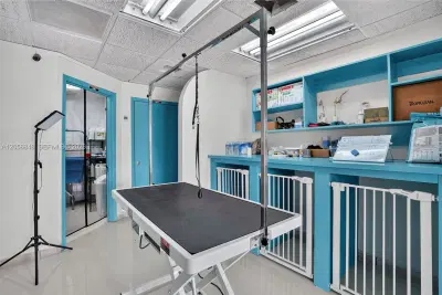Turnkey Pet Care Business with Favorable Lease