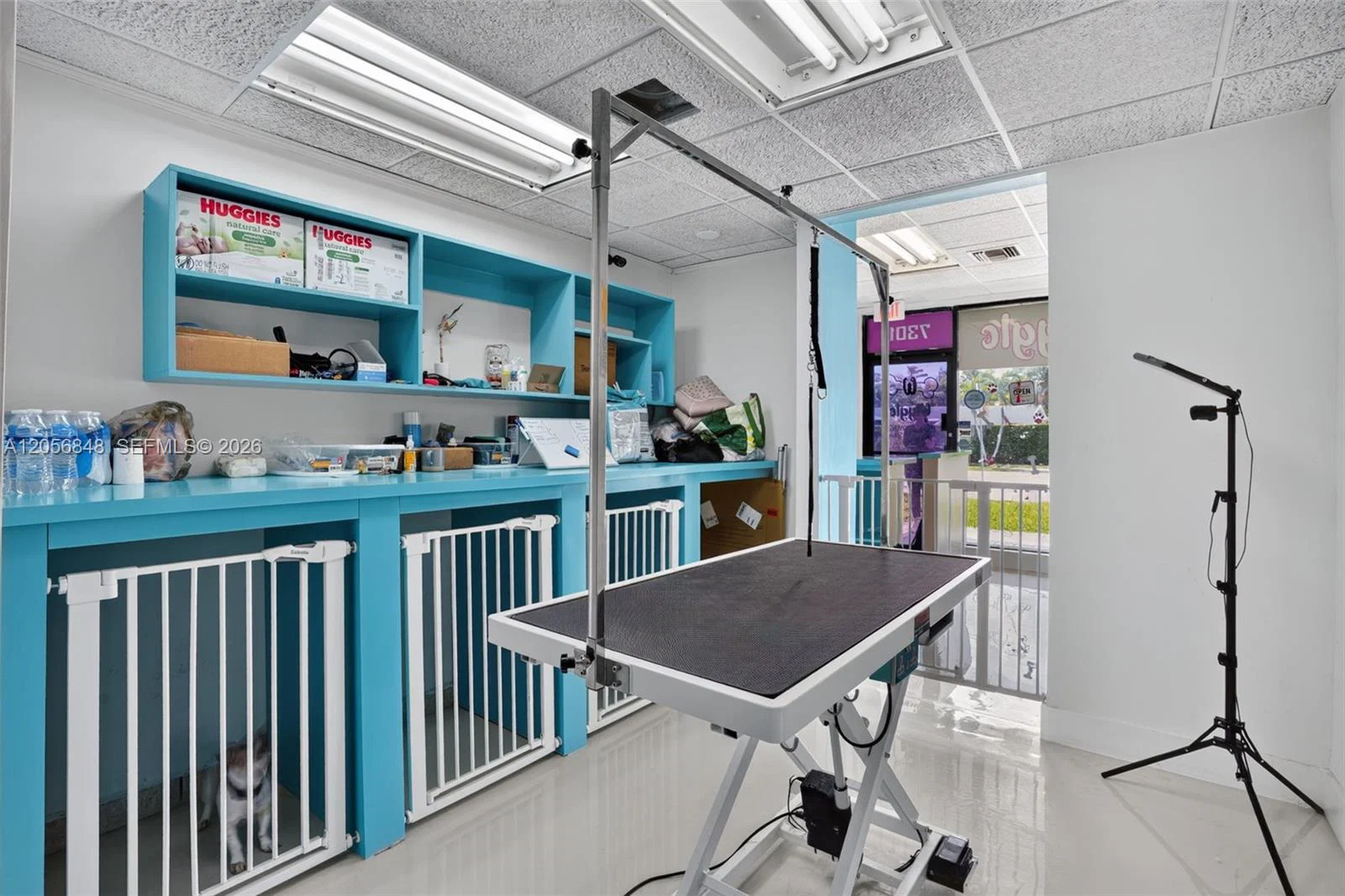Turnkey Pet Care Business with Favorable Lease