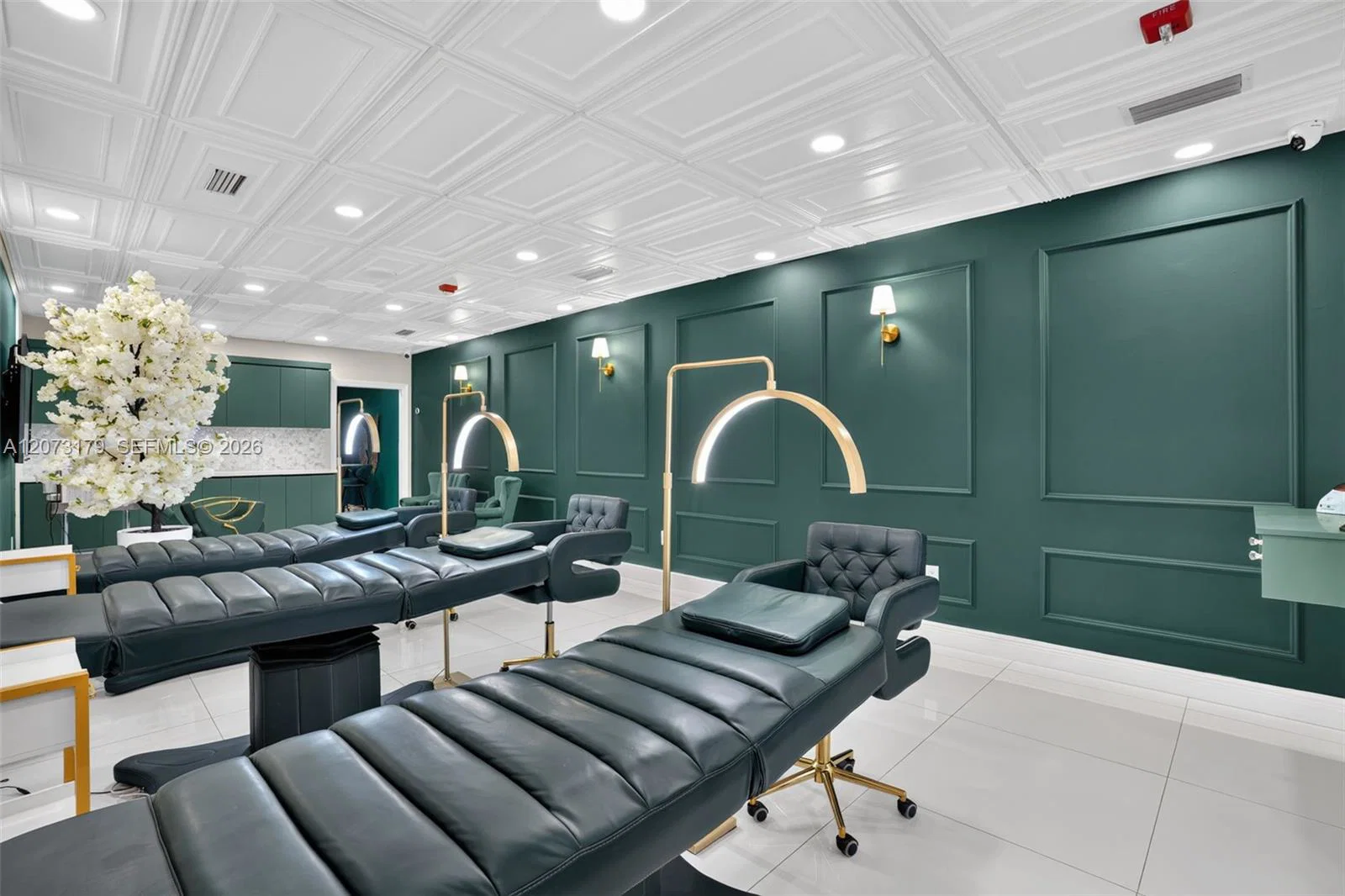 Complete Permanent Makeup Studio Assets with Upscale Finishes