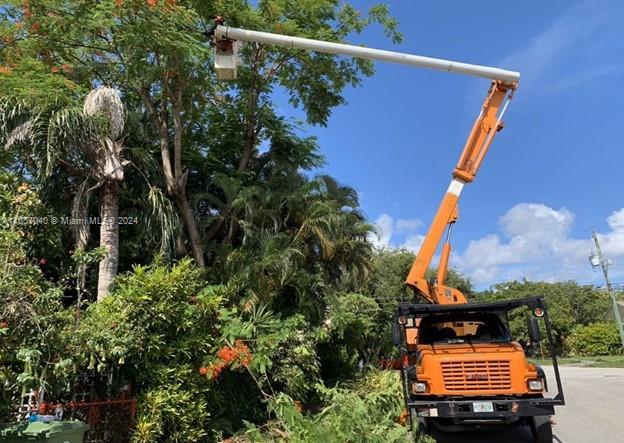 Established Tree Service with Loyal Client Base