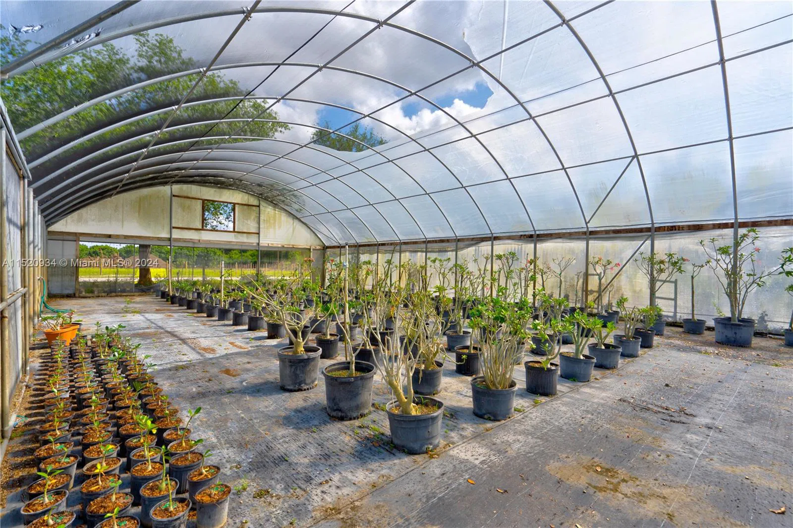 Established Nursery with Extensive Inventory and Infrastructure