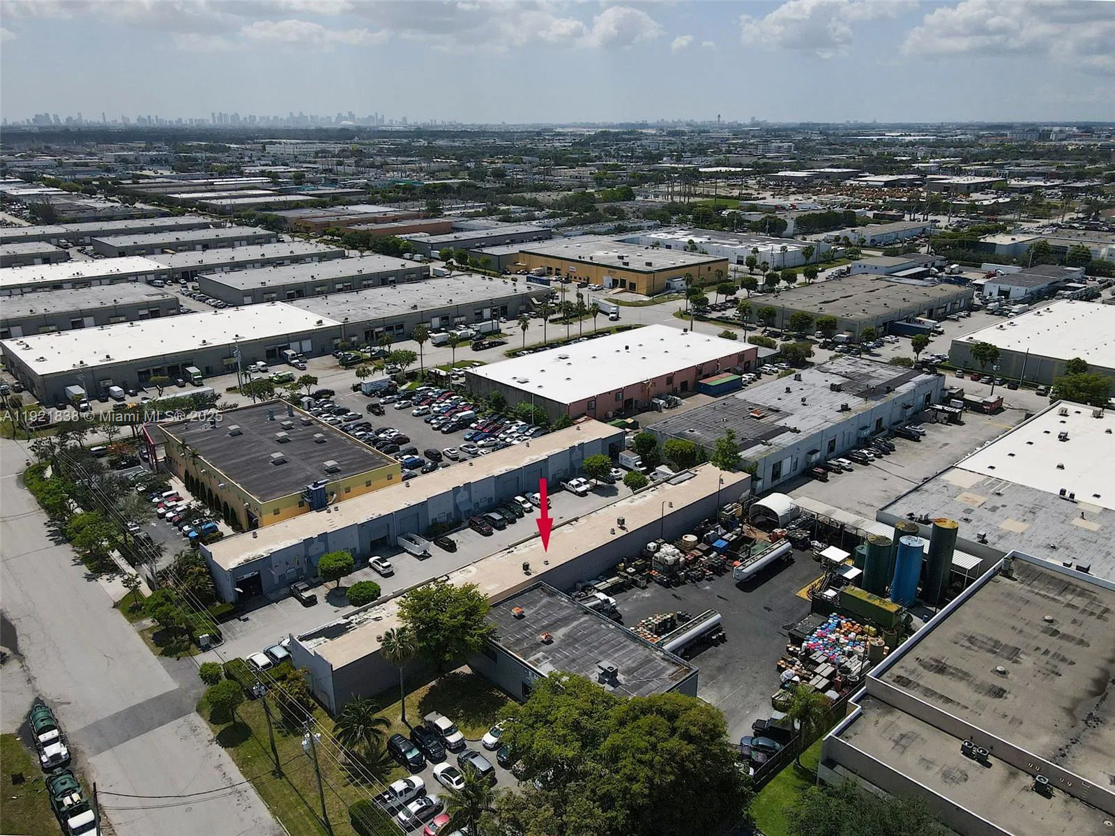 Established Wine Importer with Valuable Premium Inventory