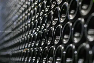 Profitable Wine Import and Distribution with Established Supplier Relationships