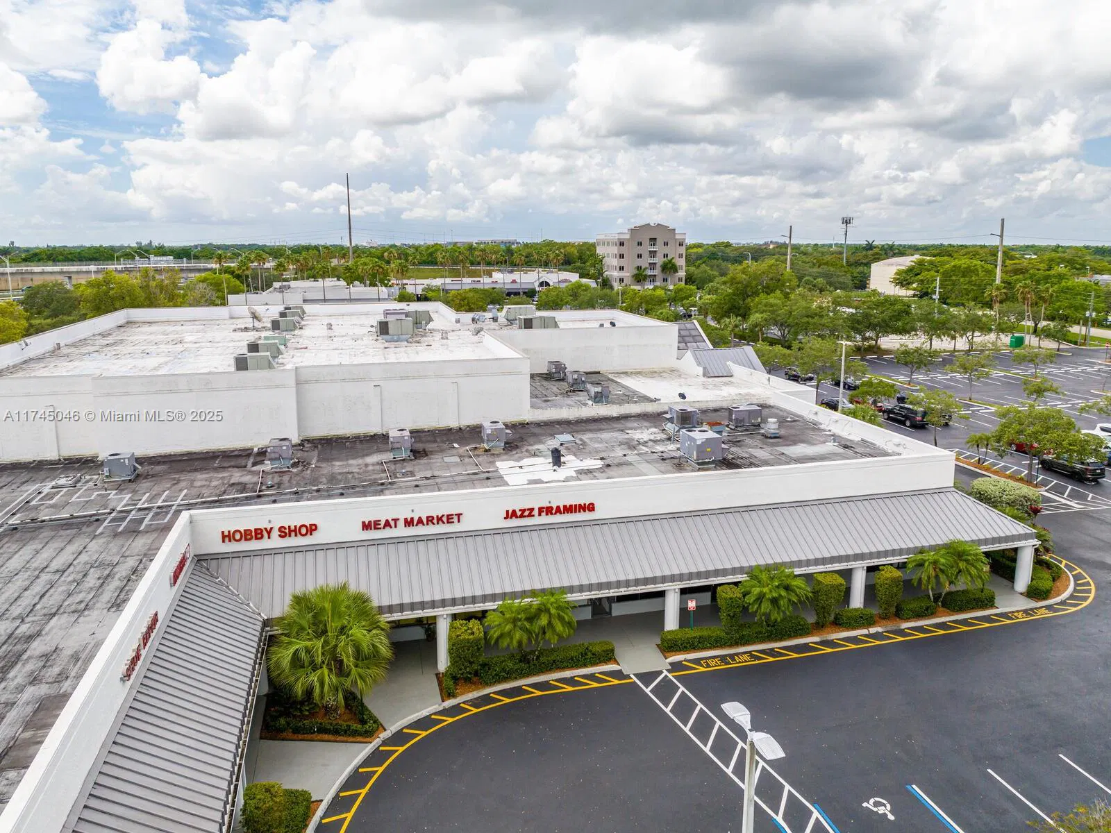 Niche Specialty Food Retailer with Online Presence