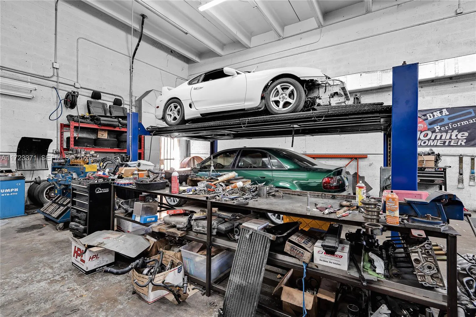 Established Automotive Repair with Dealer License Potential