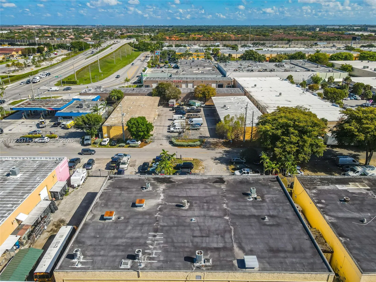 Established Automotive Repair with Dealer License Potential