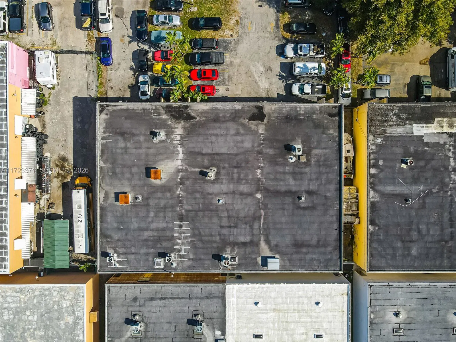 Established Automotive Repair with Dealer License Potential