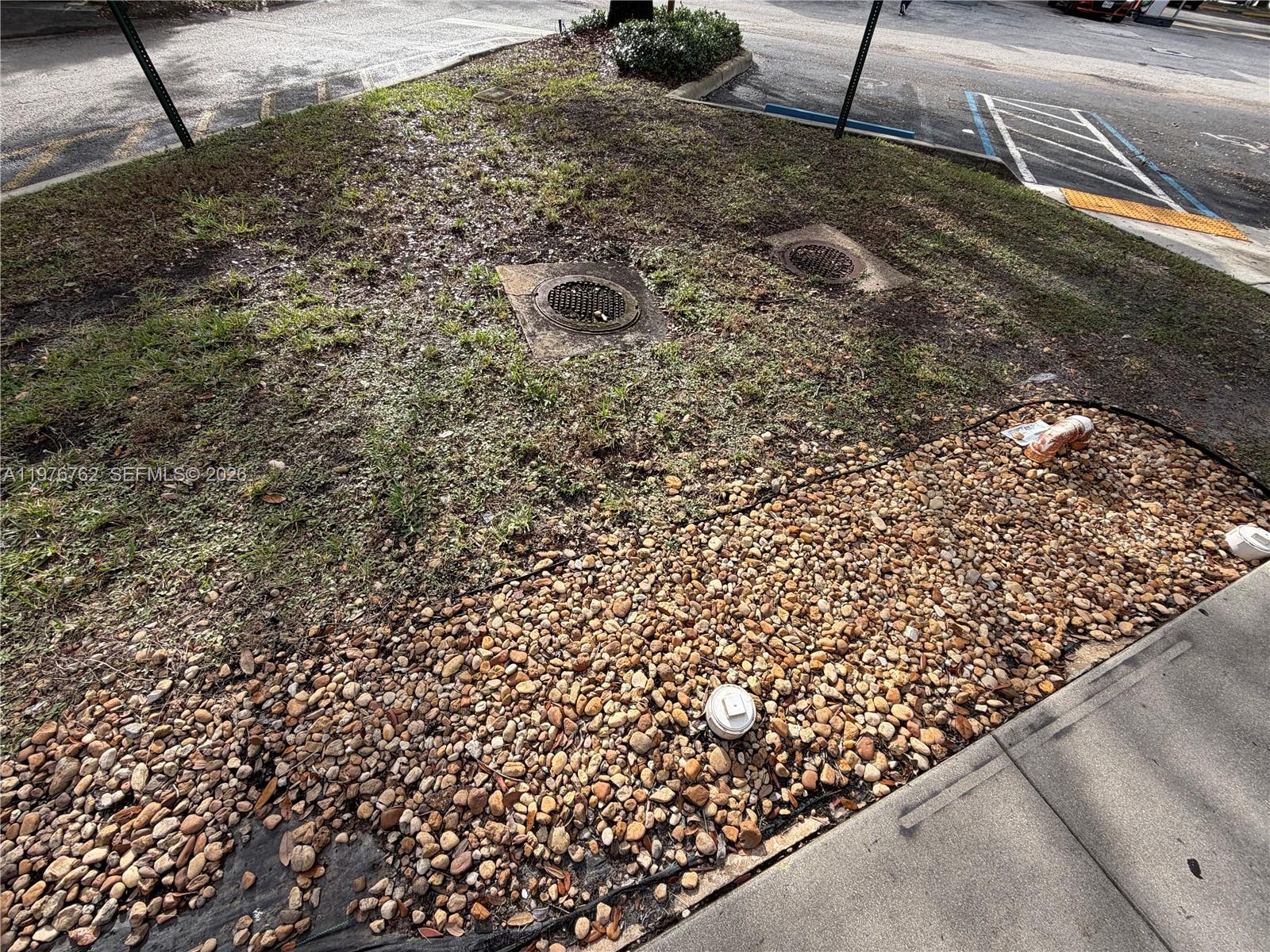 Profitable Peruvian Restaurant with Prime Location