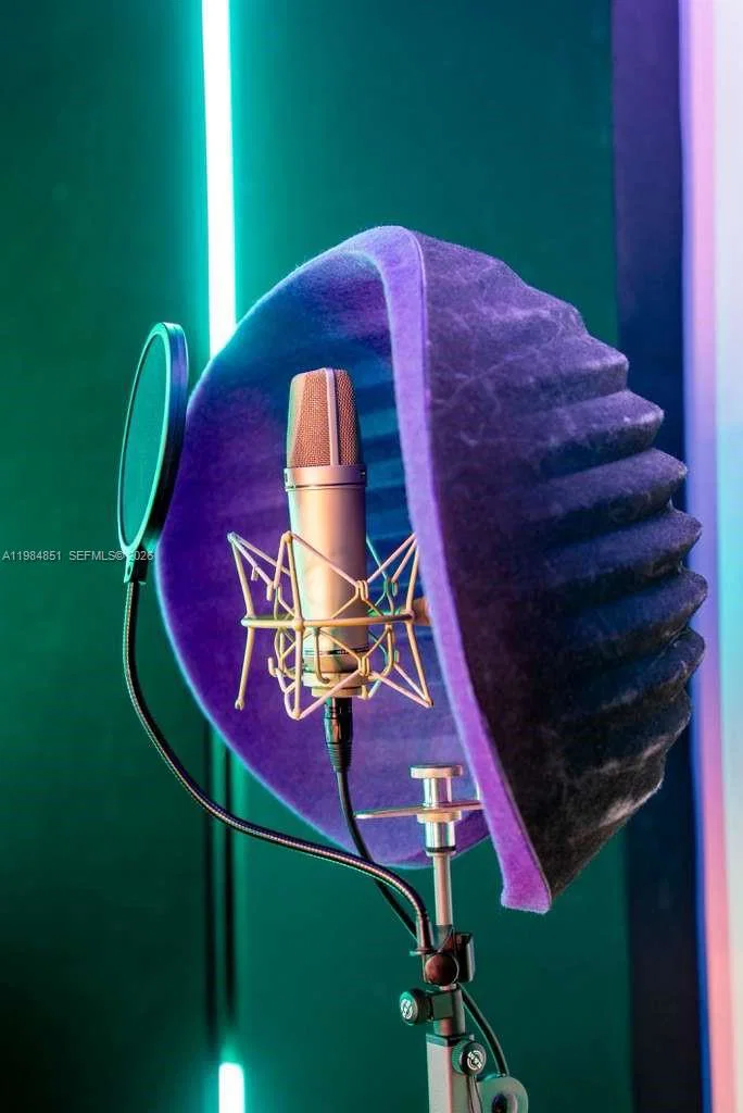 Profitable Recording Studio with Expansion Potential