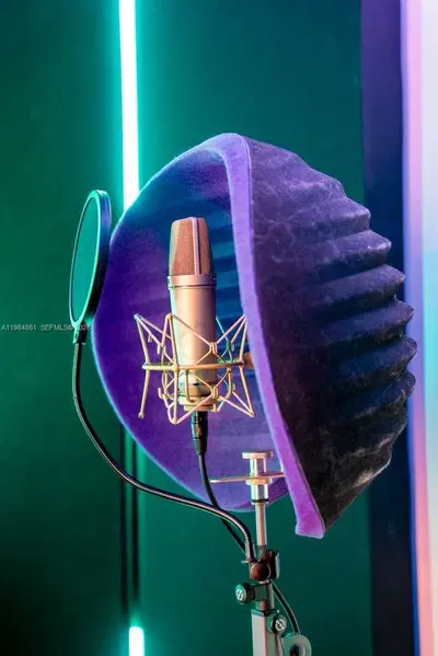 Profitable Recording Studio with Expansion Potential