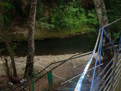 Turnkey Bar with Real Estate Included