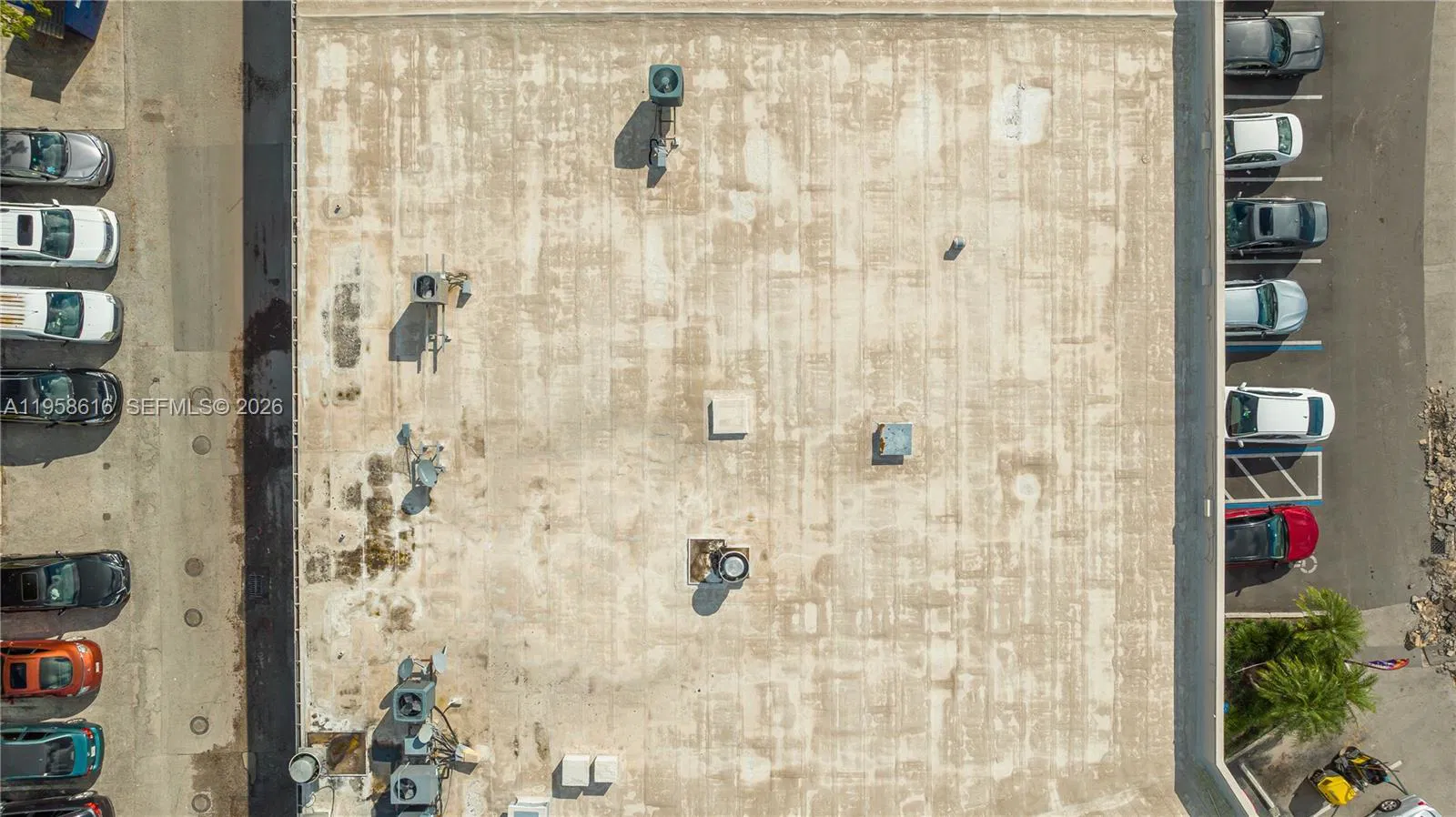 Established Peruvian Restaurant with Prime Location