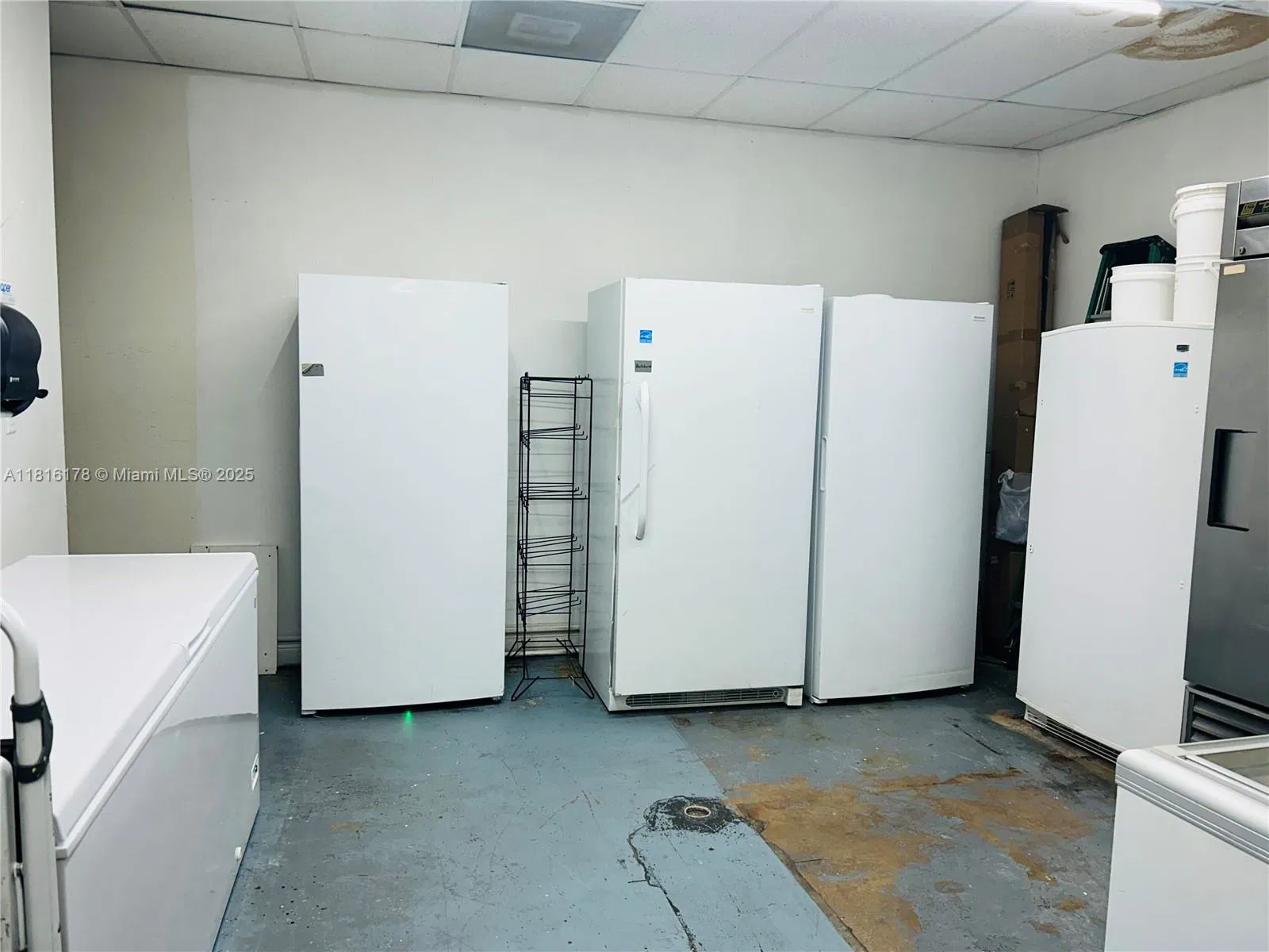 Established Cafe and Bakery with Loyal Customer Base