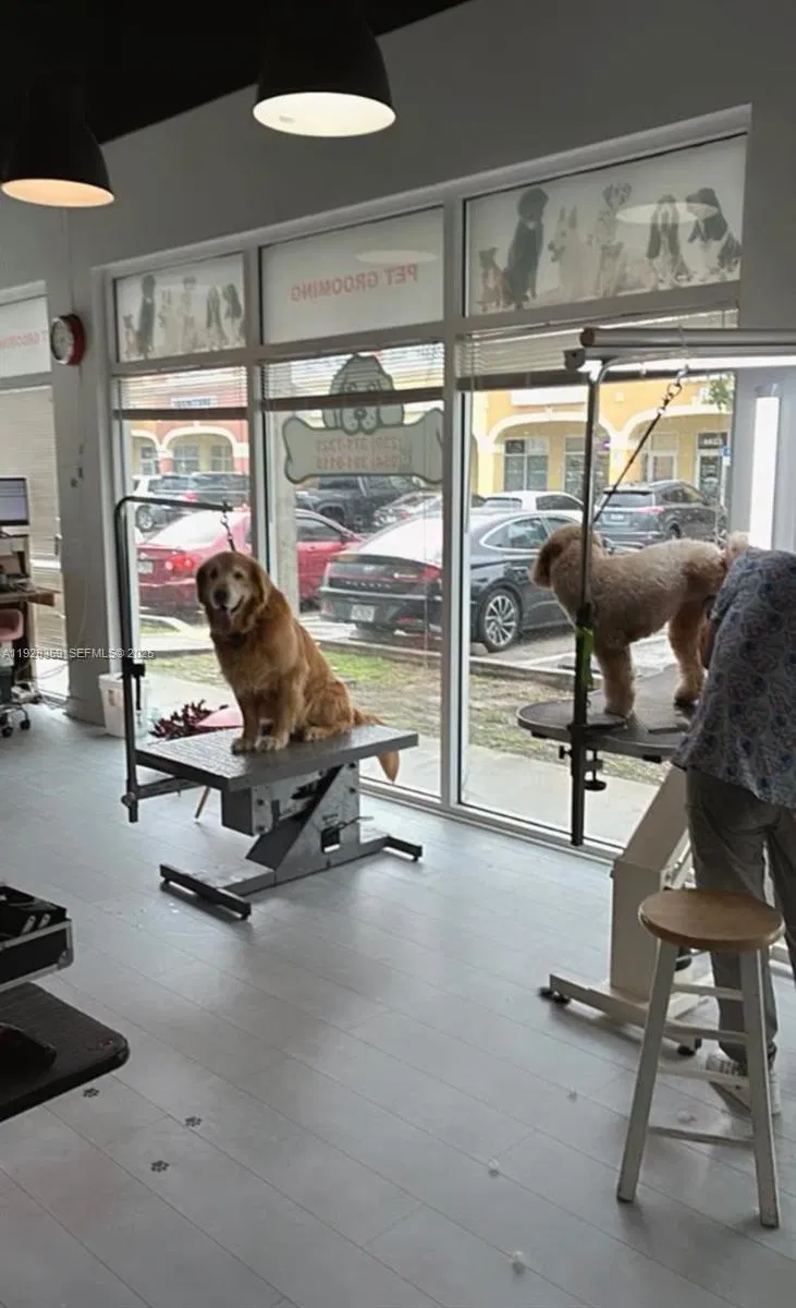 Turnkey Pet Grooming Salon with Established Clientele