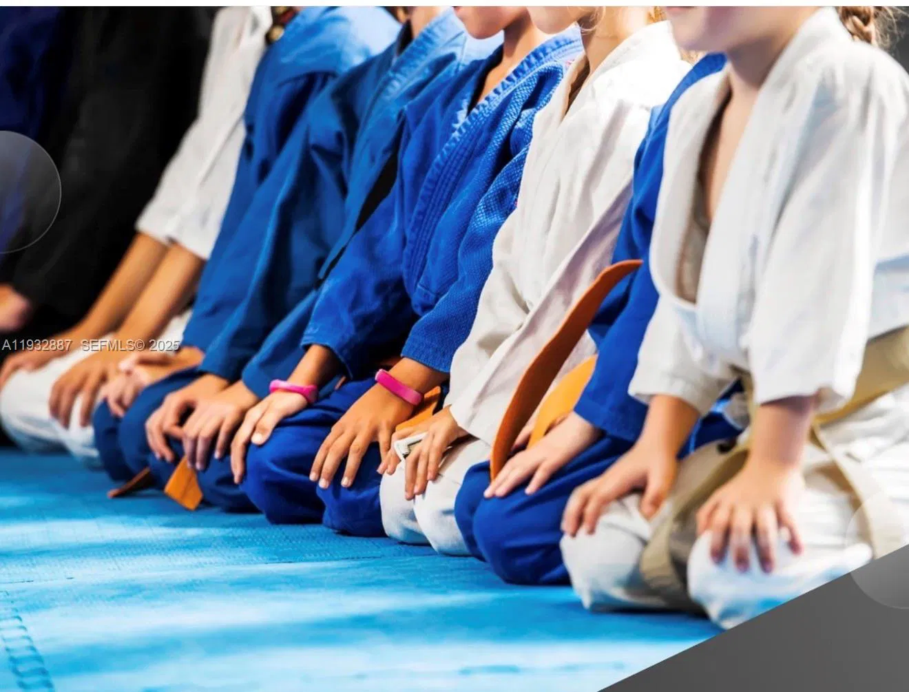 Profitable Martial Arts Academy with Diverse Programs