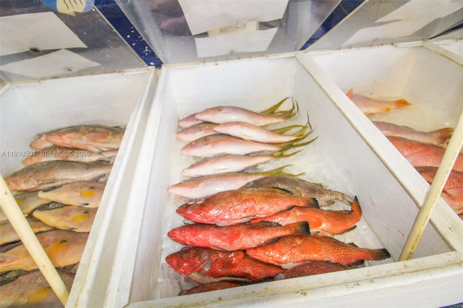 Established Specialty Food Store with Loyal Customer Base