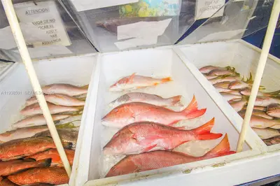 Established Specialty Food Store with Loyal Customer Base