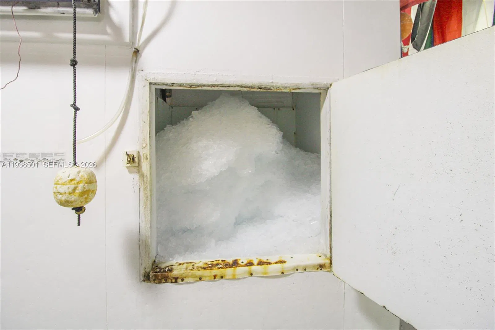 Established Specialty Food Store with Loyal Customer Base