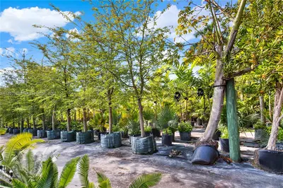 Leading Nursery with Diverse Exotic Plant Inventory