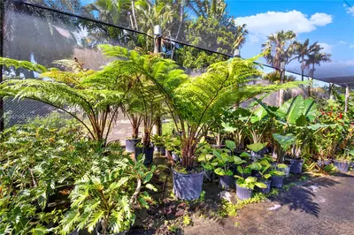 Leading Nursery with Diverse Exotic Plant Inventory