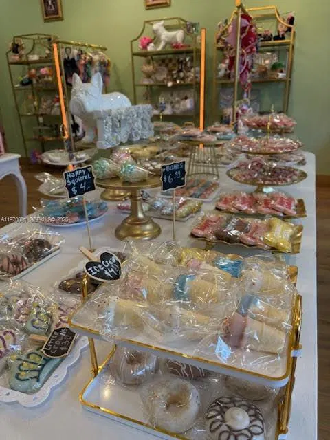 Established Pet Grooming Business with Strong Community Presence