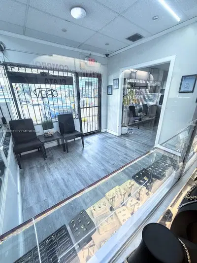 Established Pawn and Jewelry Business with Diverse Revenue Streams