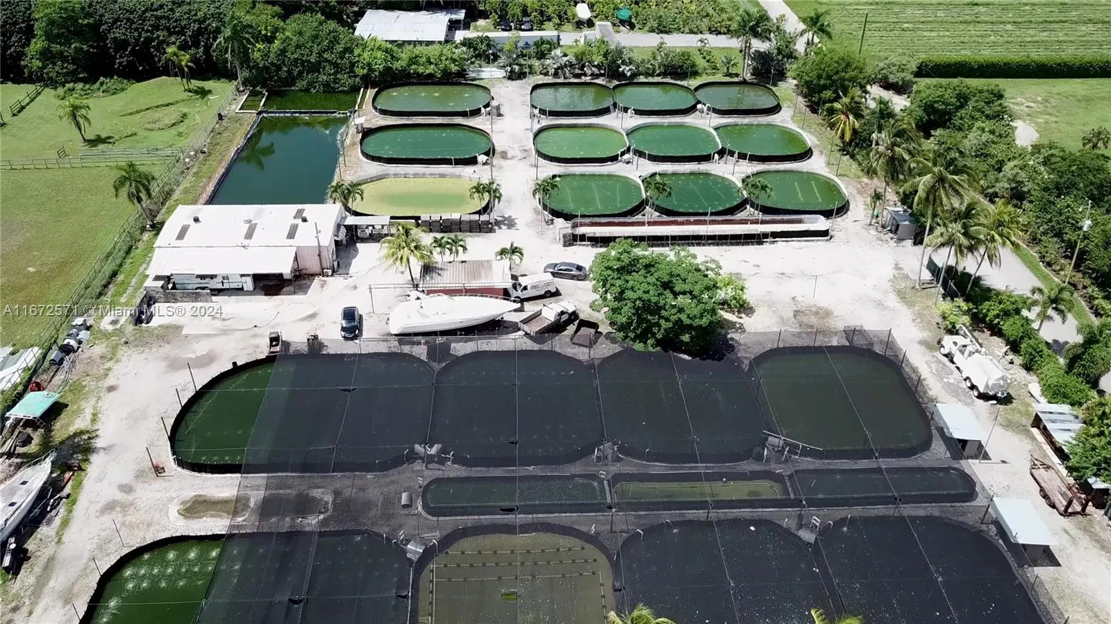 Established Aquaculture Business with Significant Real Estate