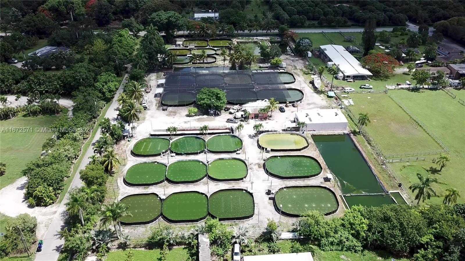 Established Aquaculture Business with Significant Real Estate