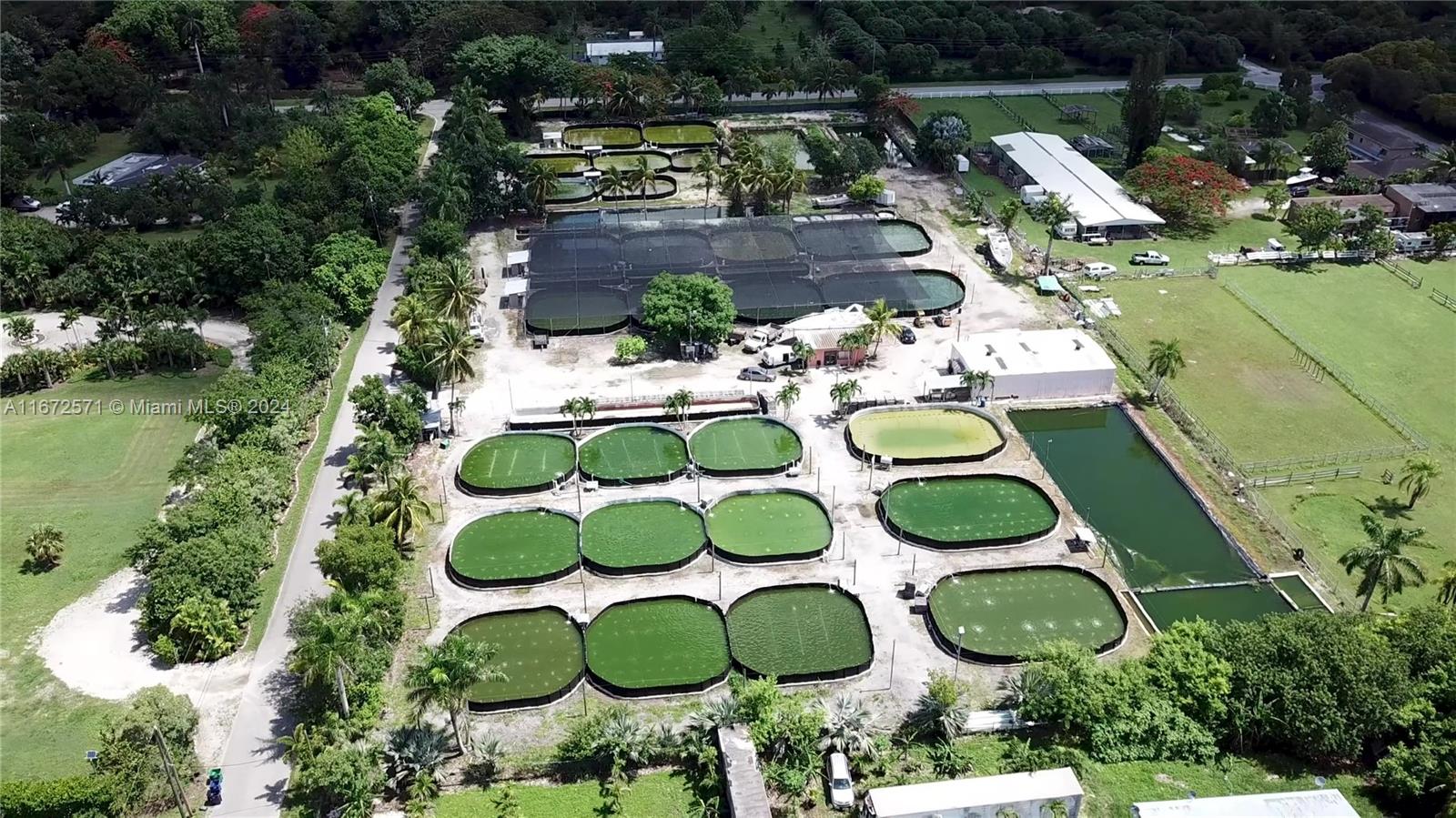 Established Aquaculture Business with Significant Real Estate