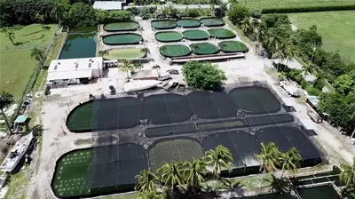 Established Aquaculture Business with Significant Real Estate