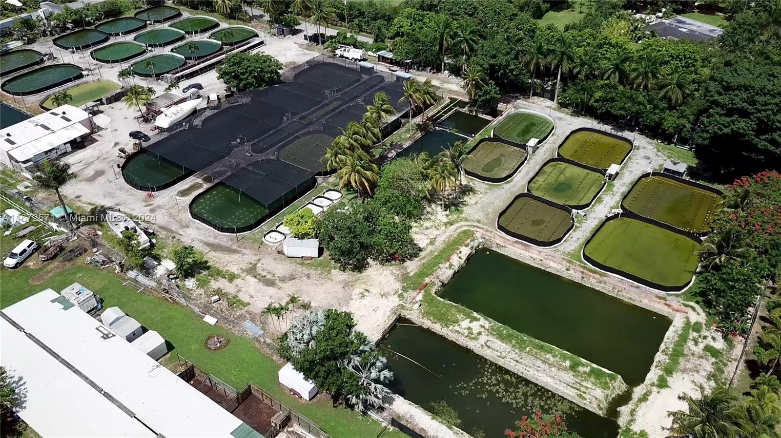 Established Aquaculture Business with Significant Real Estate